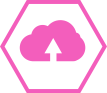 ikona